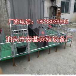 2025年泊頭衡灃養(yǎng)殖設(shè)備技術(shù)報(bào)告 關(guān)于適配東亞瘦肉型豬周轉(zhuǎn)設(shè)施的技術(shù)優(yōu)化方案