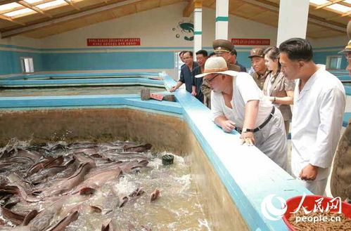 金正恩偕夫人視察鲇魚廠點(diǎn)贊品質(zhì)，稱贊鲇魚、肉類令人稱贊